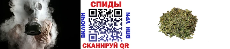 сайты даркнета Telegram omg tor Пыталово Бутират BDO 33%