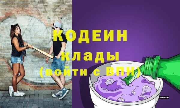 ГАЛЛЮЦИНОГЕННЫЕ ГРИБЫ Арсеньев
