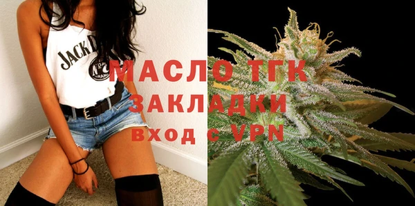 стаф Аркадак