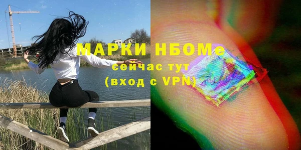 стаф Аркадак
