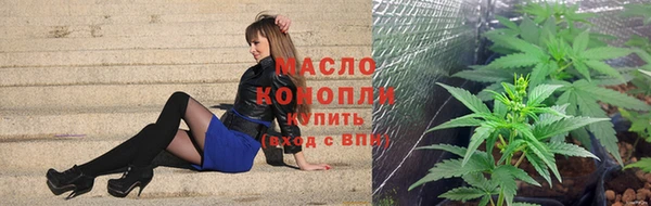 стаф Аркадак
