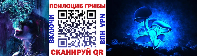 наркота Пыталово Псилоцибиновые грибы Psilocybine cubensis